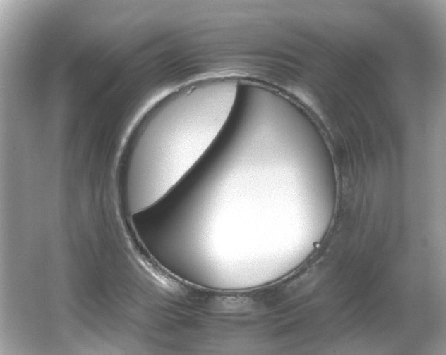 X0000066081119200603100930