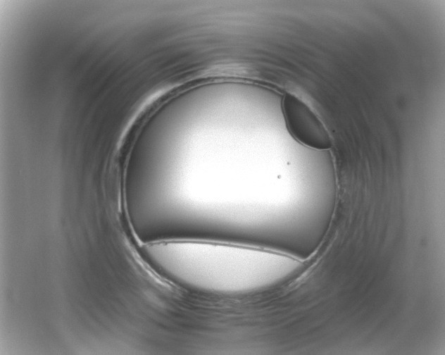 X0000066081123200603100930