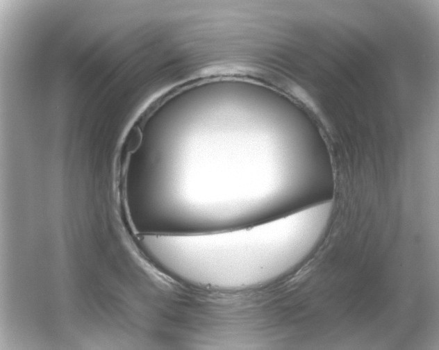 X0000066081124200603100930