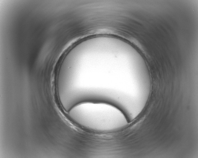 X0000066081126200603100930