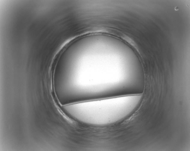 X0000066081127200603100930