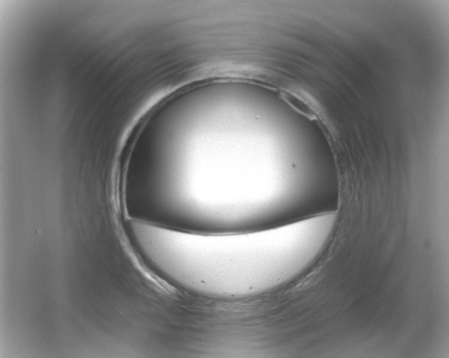 X0000066081128200603100930