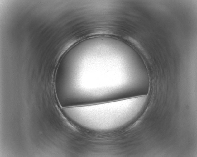 X0000066081129200603100930