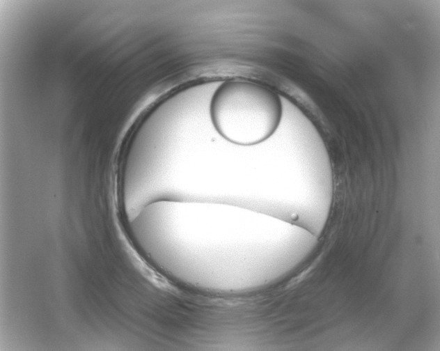X0000066081130200603100930