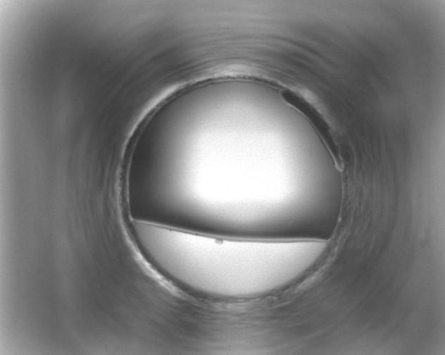 X0000066081134200603100930