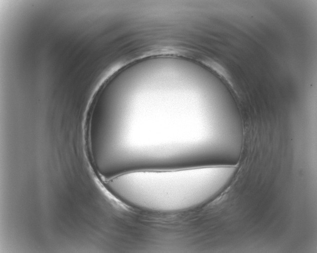 X0000066081135200603100930