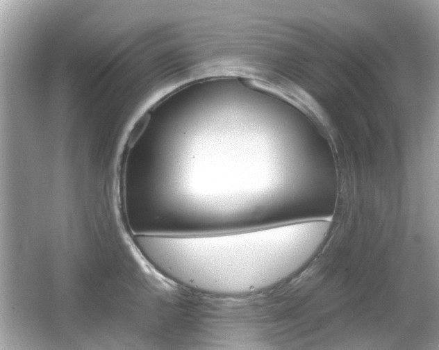 X0000066081144200603100930