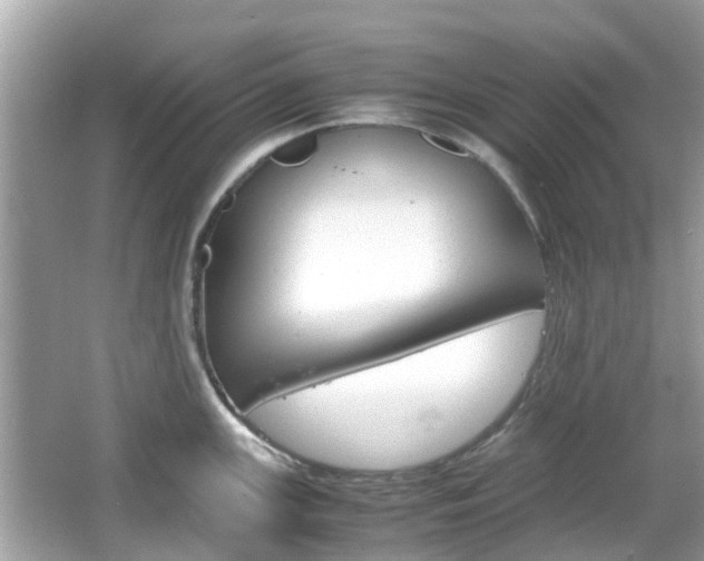 X0000066081147200603100930