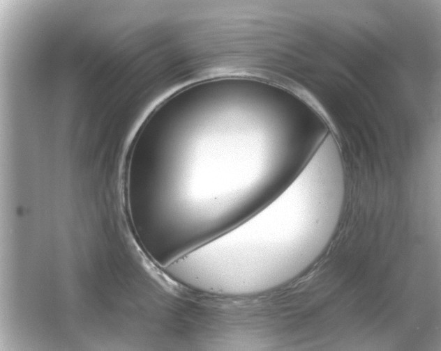 X0000066081148200603100930