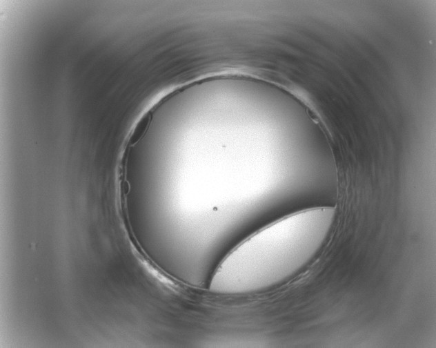 X0000066081151200603100931