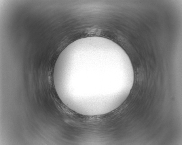 X0000066081154200603100930
