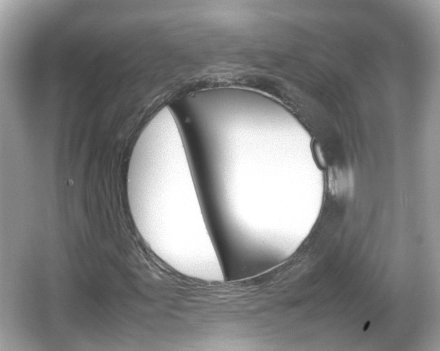 X0000066081155200603100930