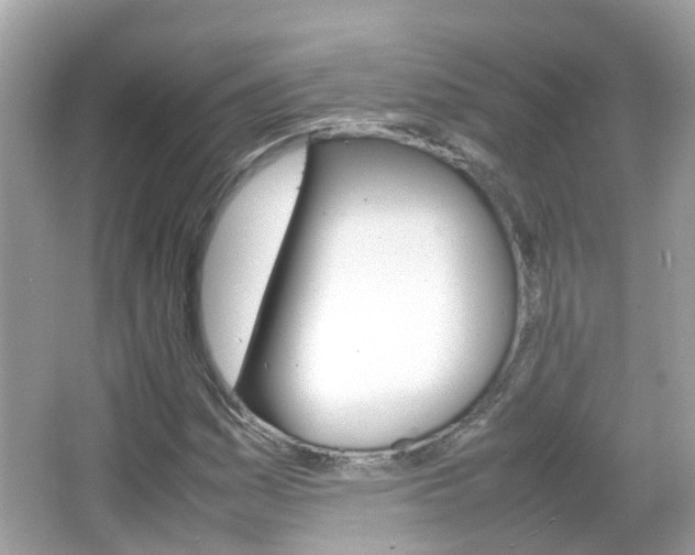 X0000066081161200603100930