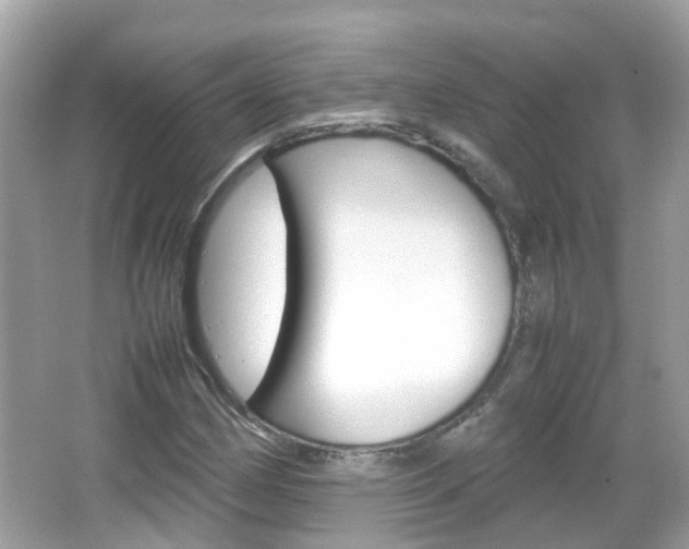 X0000066081162200603100930