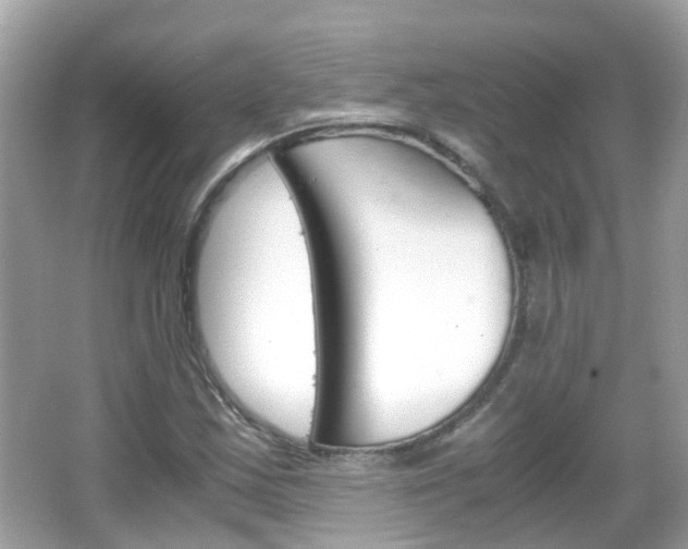 X0000066081163200603100930