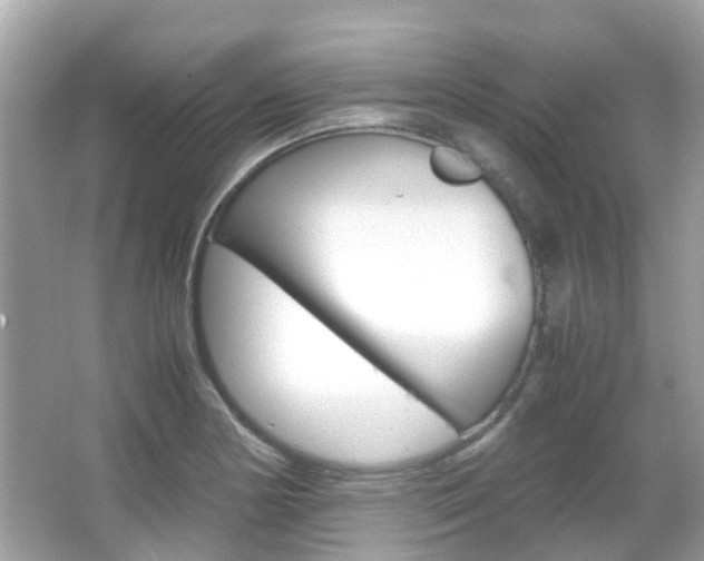 X0000066081178200603100929