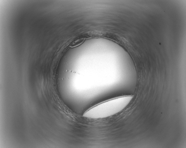 X0000066081201200603100928