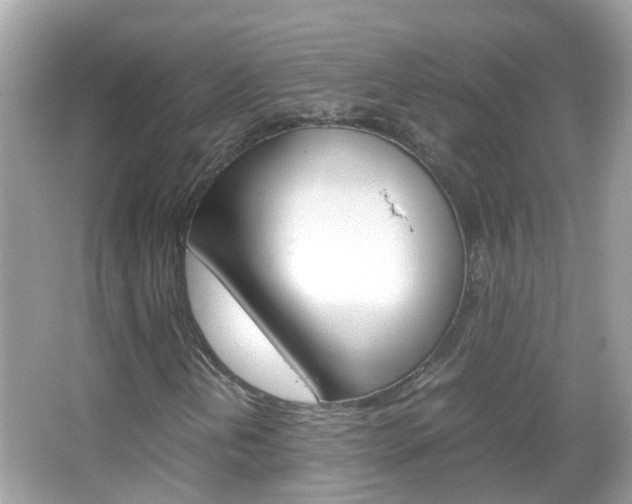 X0000066081202200603100928