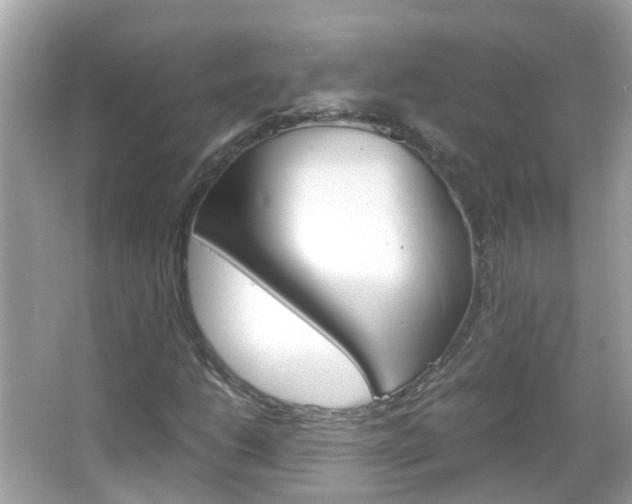 X0000066081206200603100928