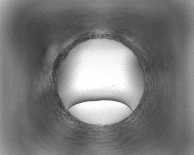 X0000066081207200603100928