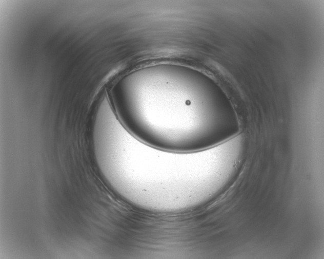 X0000066081210200603100928