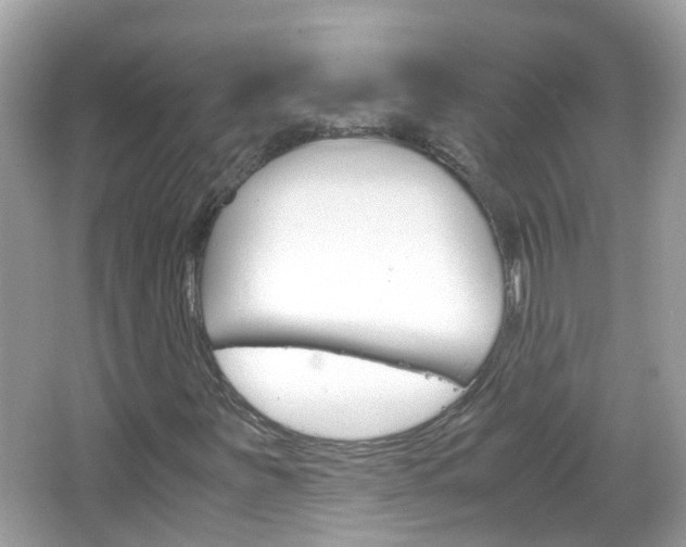 X0000066081251200603100928