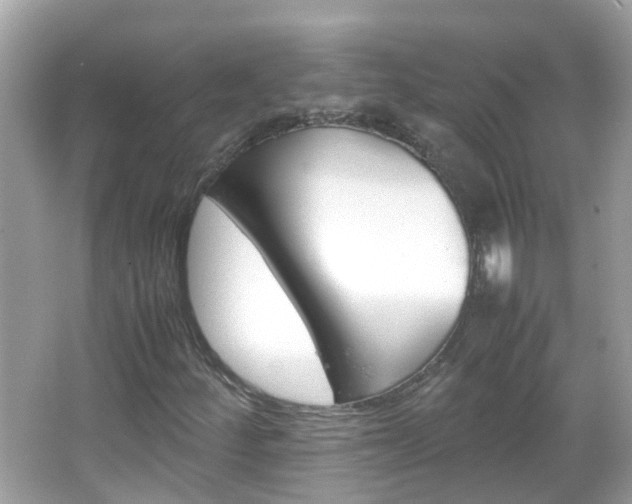 X0000066081252200603100928