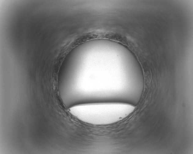 X0000066081253200603100928