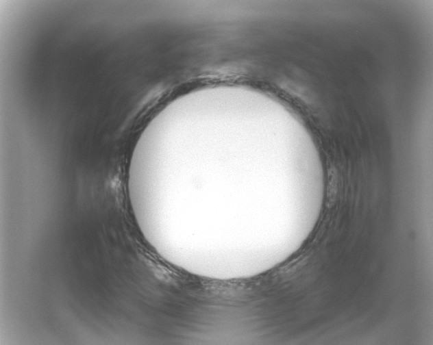 X0000066081254200603100928