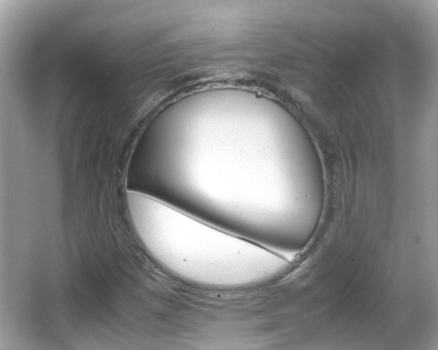 X0000066081257200603100928