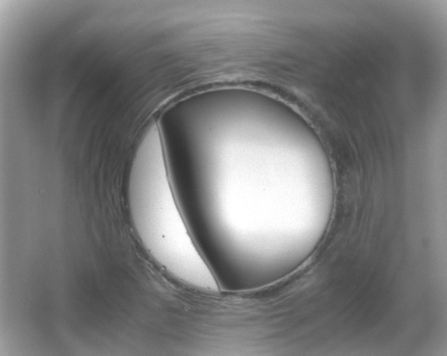 X0000066081265200603100928