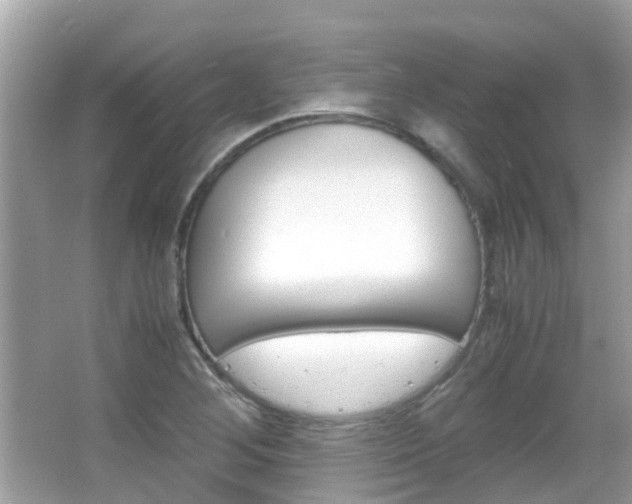 X0000066081268200603100928