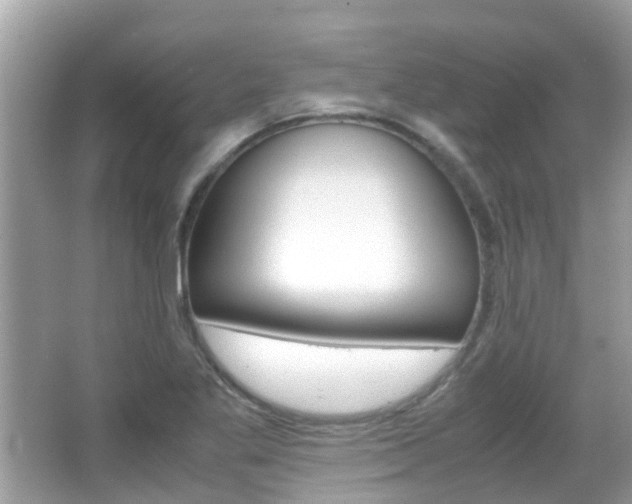 X0000066081269200603100928