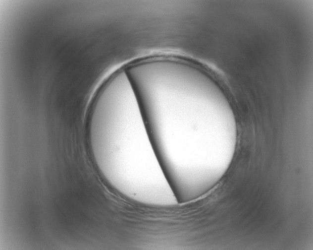 X0000066081271200603100928
