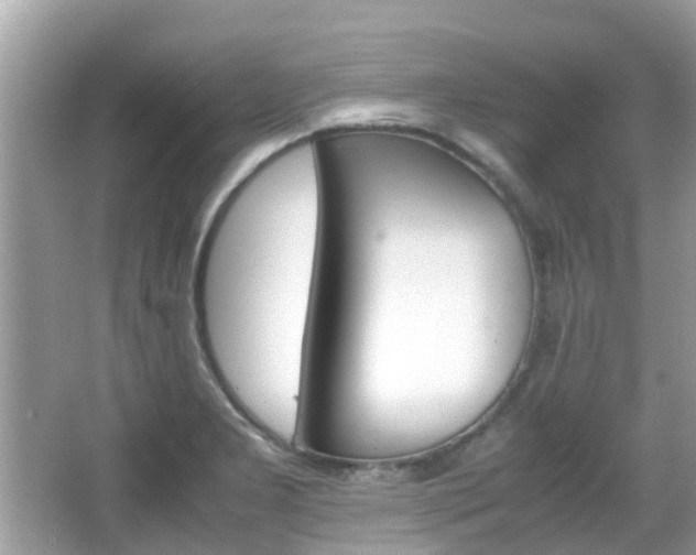 X0000066081277200603100928