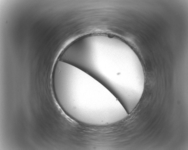 X0000066081287200603100928