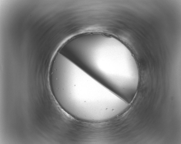 X0000066081288200603100927
