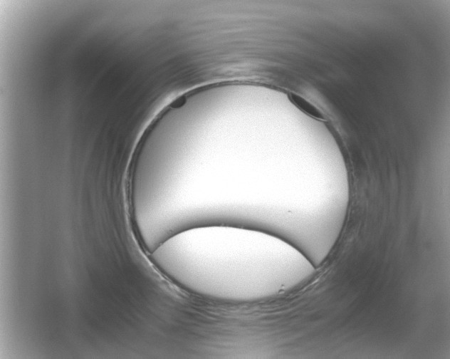 X0000066081291200603100927