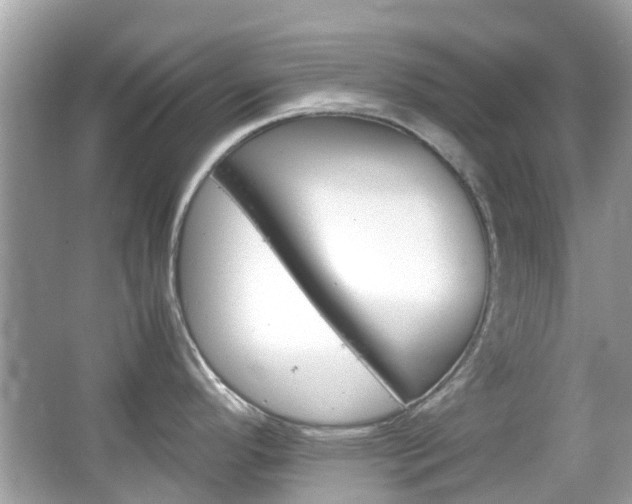 X0000066081296200603100927