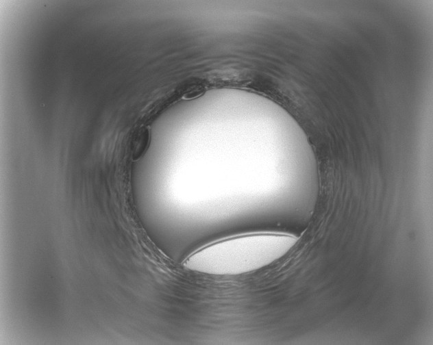 X0000066081297200603100927