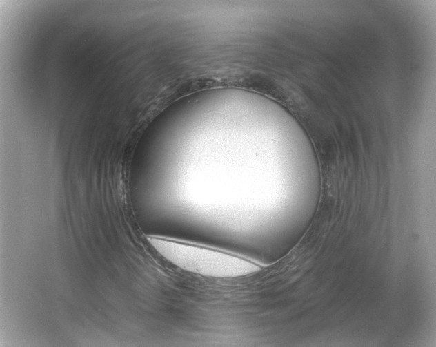 X0000066081298200603100927