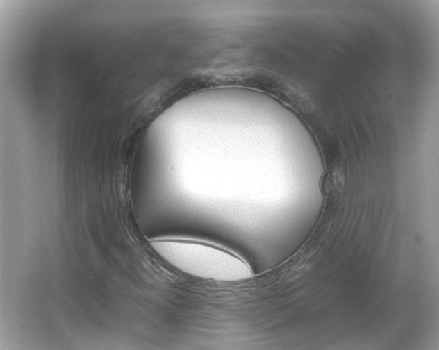X0000066081300200603100927