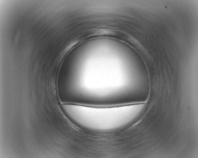 X0000066081321200603100927
