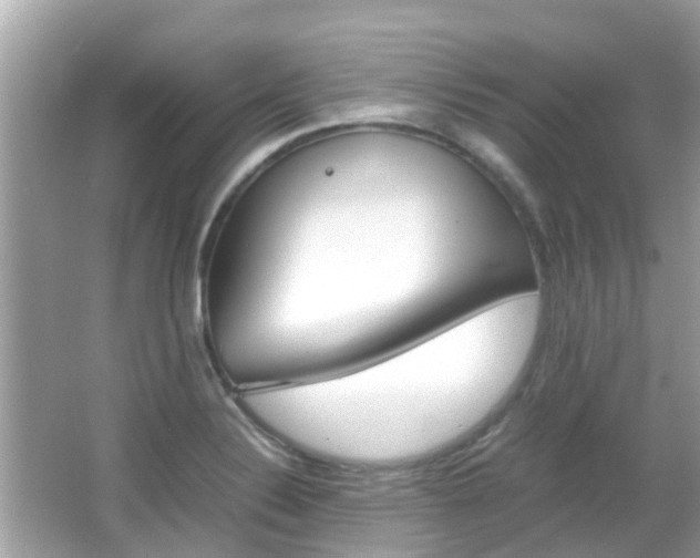 X0000066081324200603100927