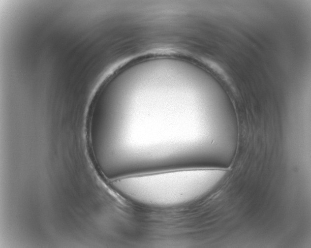 X0000066081327200603100927