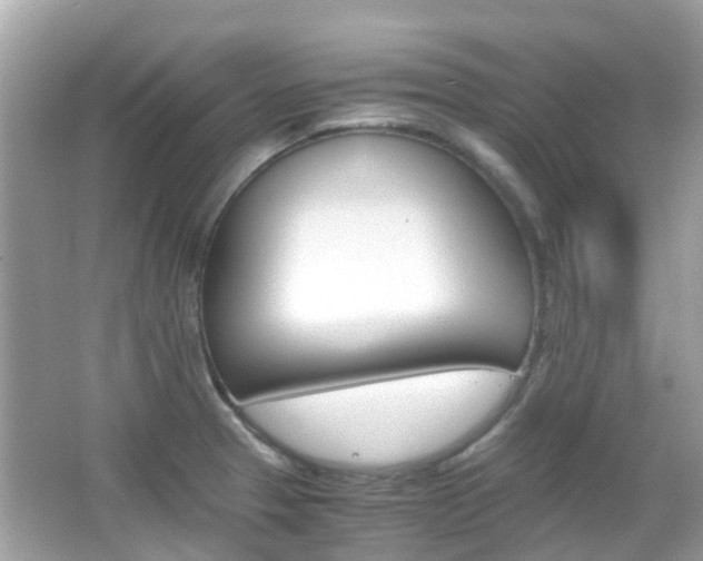 X0000066081329200603100927