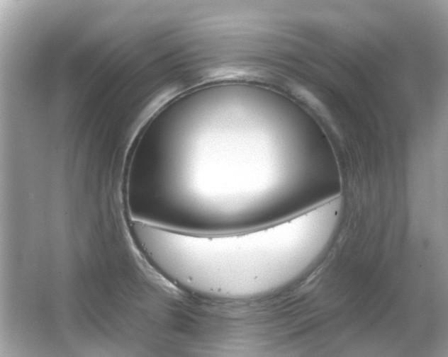 X0000066081330200603100927