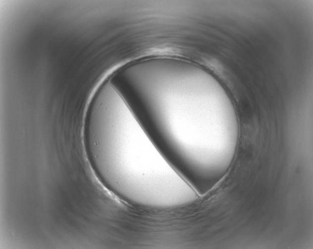 X0000066081331200603100927