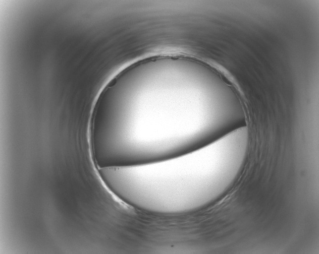X0000066081343200603100927