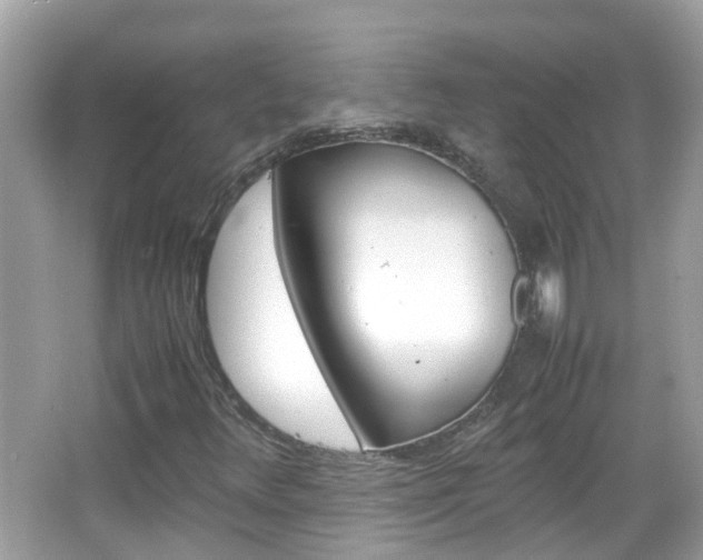 X0000066081348200603100926